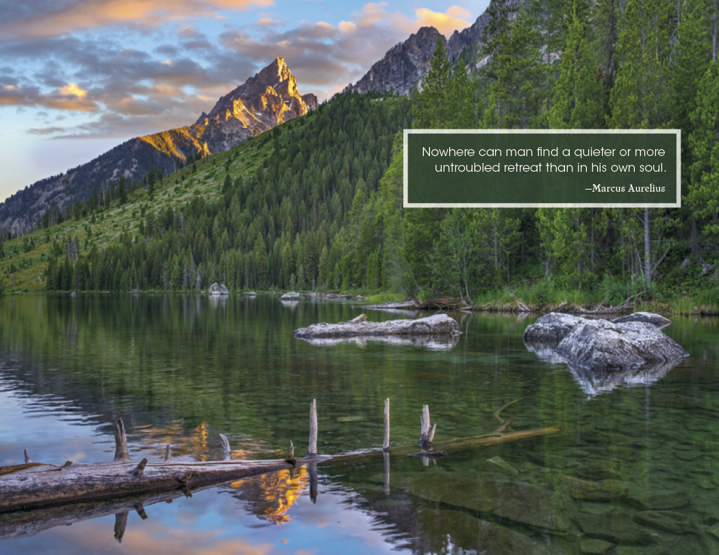 Good Value Inspirations for Life  Window Calendar-7579
