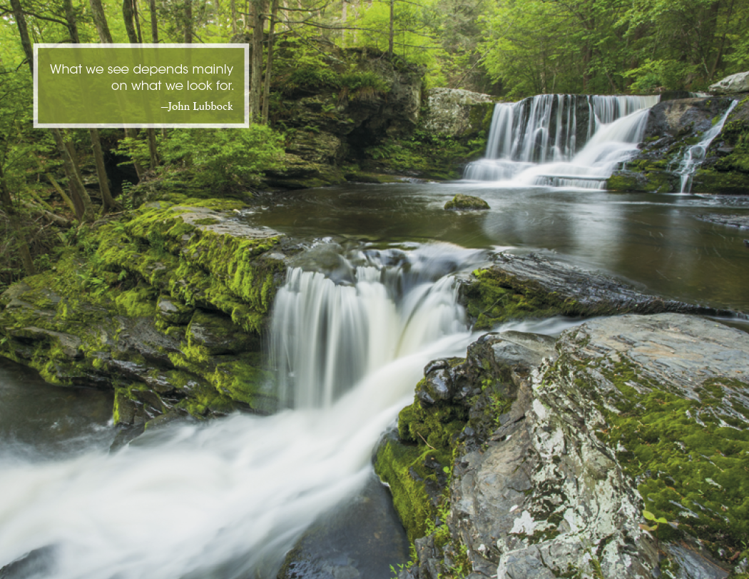 Good Value Inspirations for Life  Window Calendar-7579