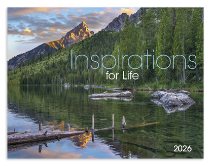 Good Value Inspirations for Life  Window Calendar-7579