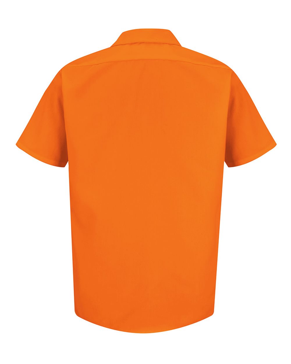 Image for 76664_b_fl.jpg
