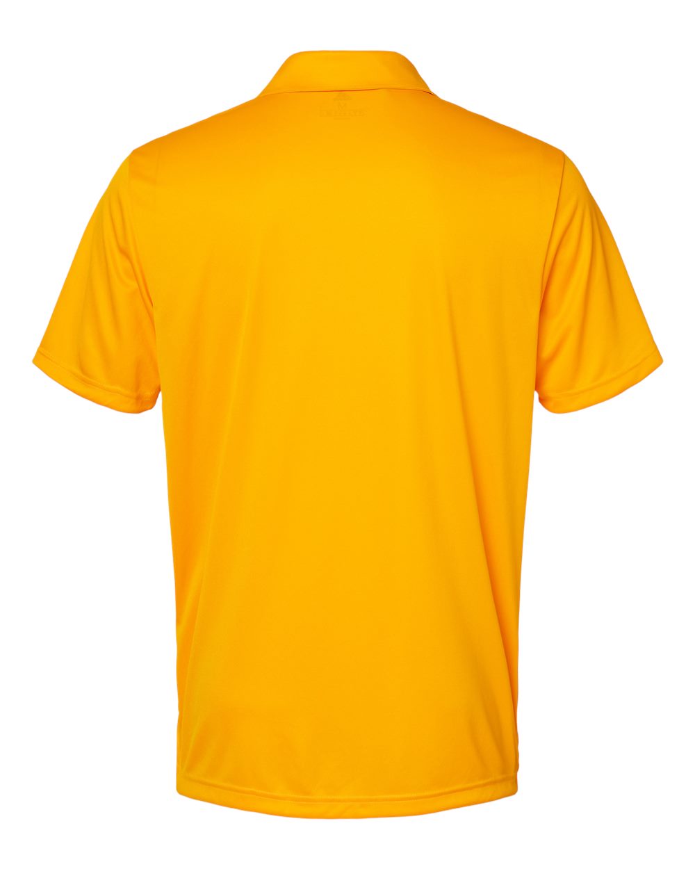 Image for 79900_b_fl.jpg