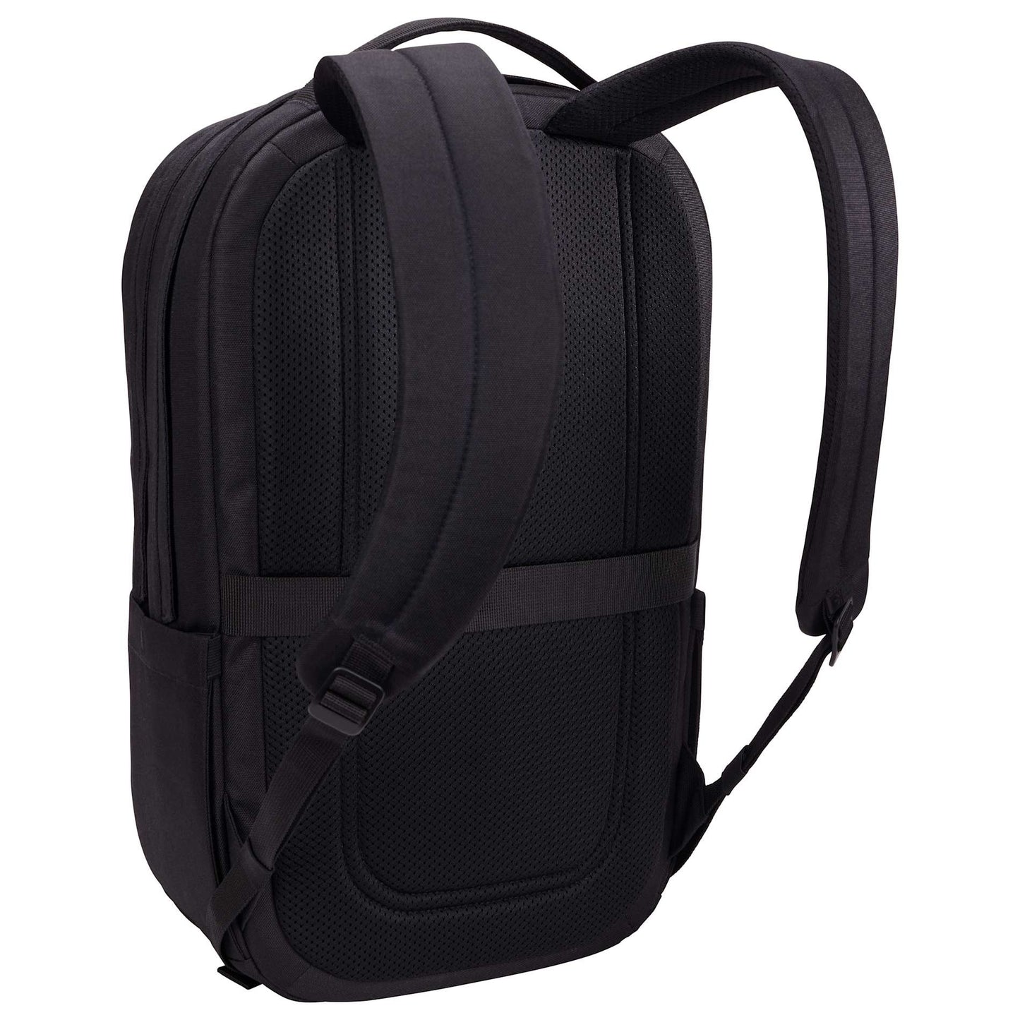 Image for 8151-62BK_A_AR_BACK.jpg
