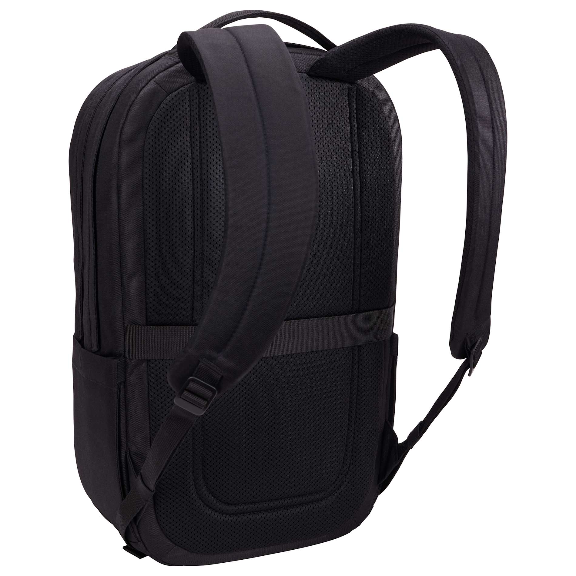 Image for 8151-62BK_A_AR_BACK.jpg