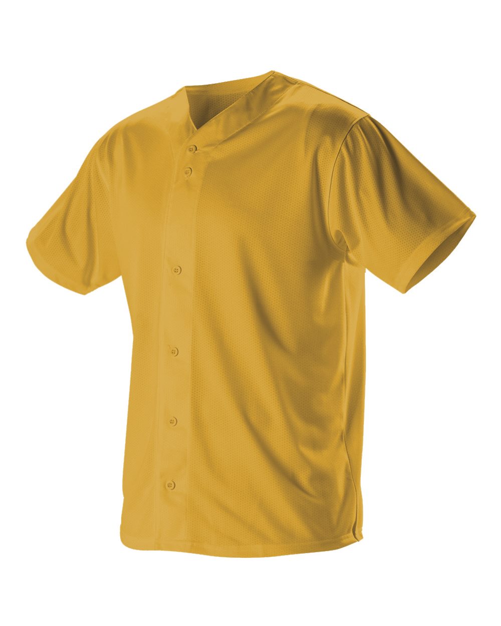 Image for 83673_fl.jpg
