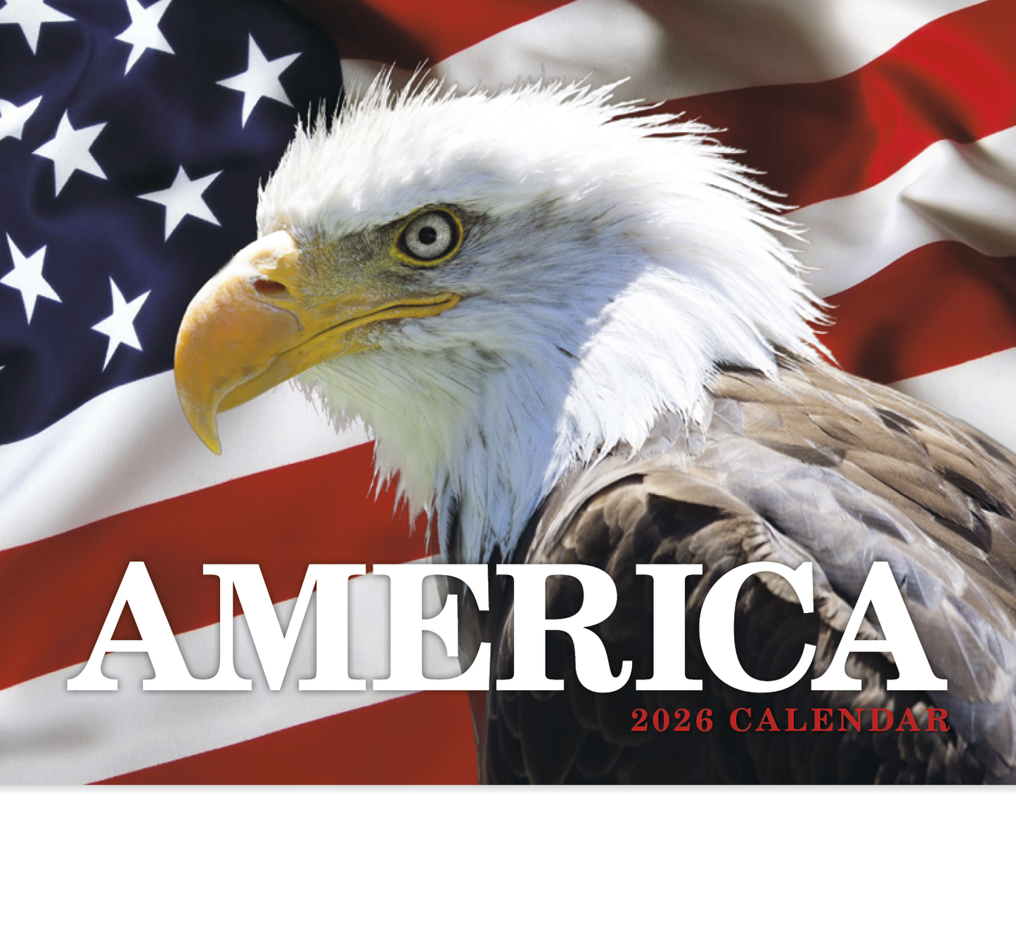 HotLine Products America Appointment Calendar  Stapled-857