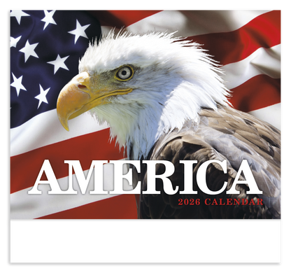 HotLine Products America Appointment Calendar  Stapled-857