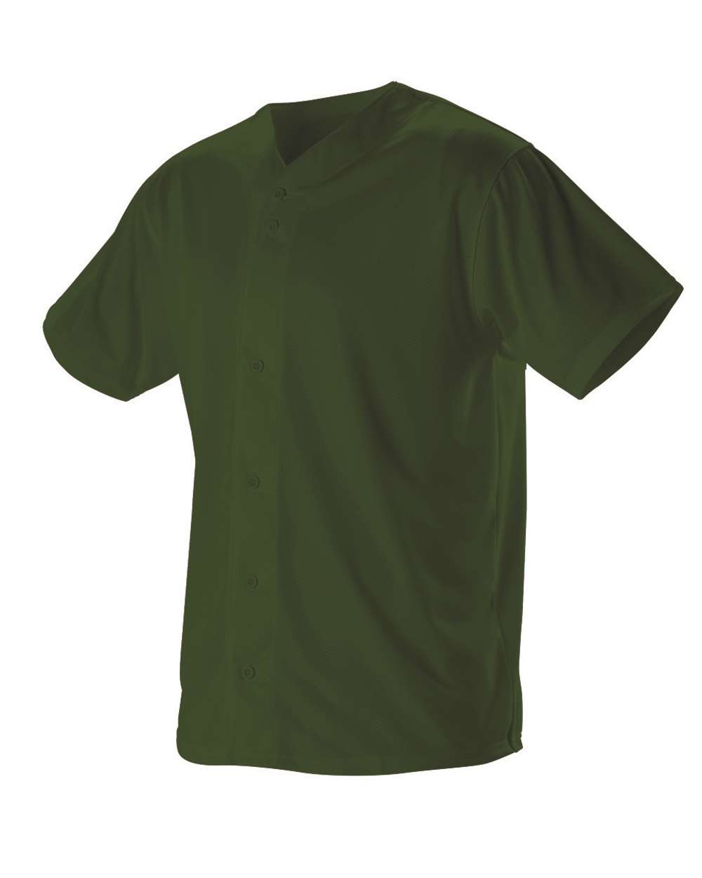 Image for 87070_fl.jpg