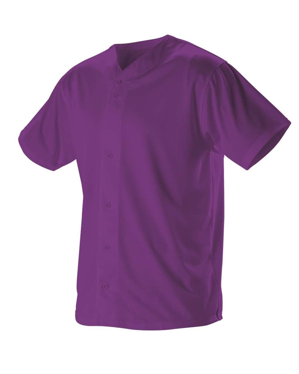 Image for 87074_fl.jpg