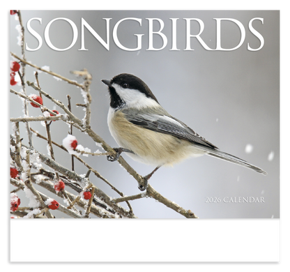 HotLine Products Songbirds Appointment Calendar  Stapled-875