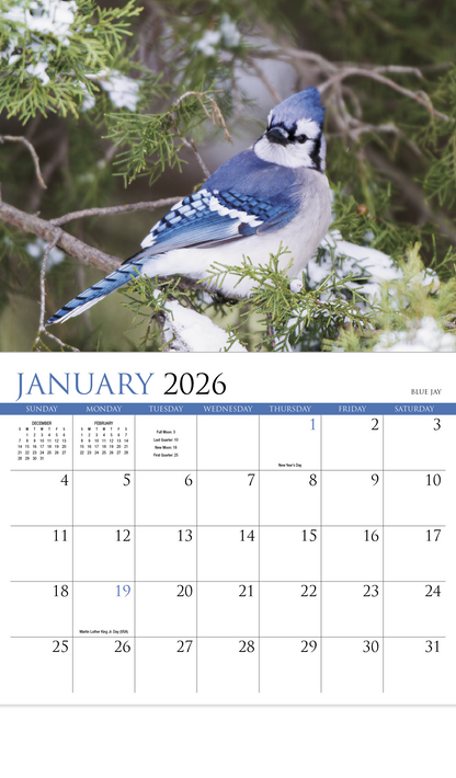 HotLine Products Songbirds Appointment Calendar  Stapled-875