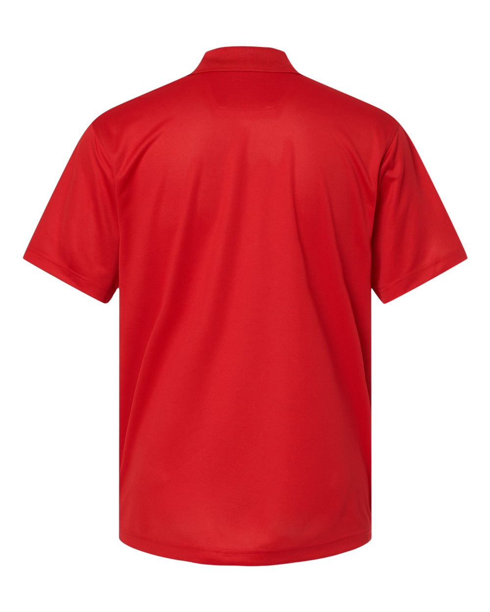 Image for 99290_b_fl.jpg