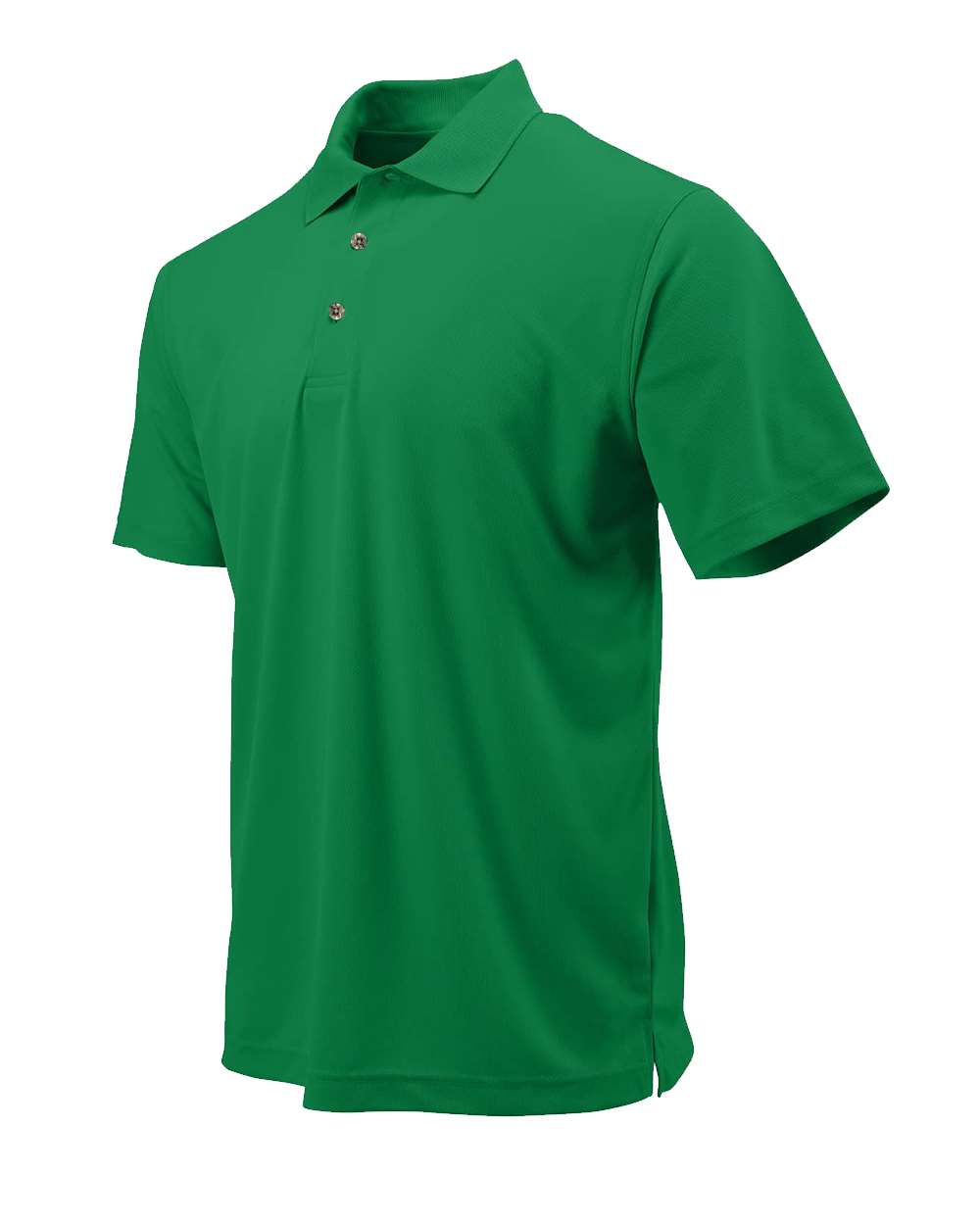 Image for 99500_fl.jpg