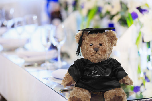 Chelsea Teddy Bear Traditional Teddy Bear  11 Plush-CT978