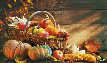 Triumph Calendars Recipe Calendar-5351