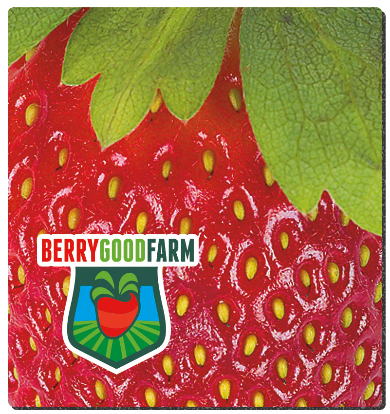 Good Value 18 Fabric Surface Mouse Pad 712 x 8-MP6A