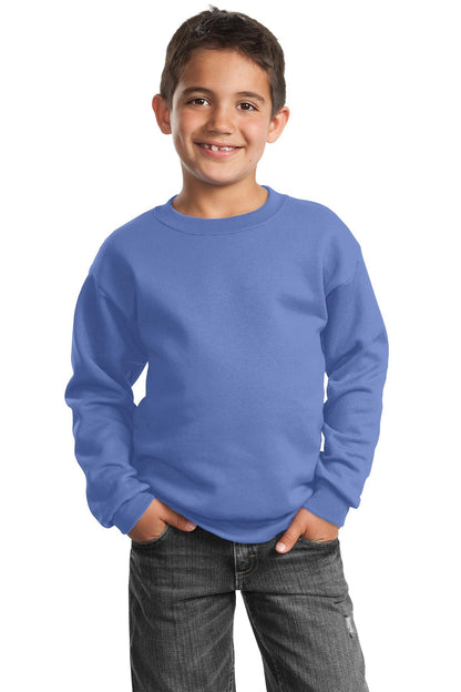 Port & Company? Youth Core Fleece Crewneck Sweatshirt.