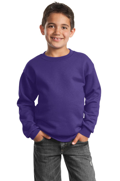 Port & Company? Youth Core Fleece Crewneck Sweatshirt.
