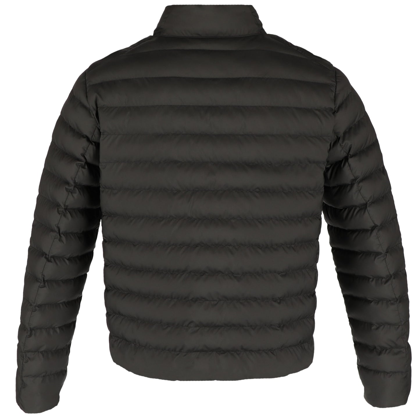 Image for TM19900_896_B_BACK.jpg