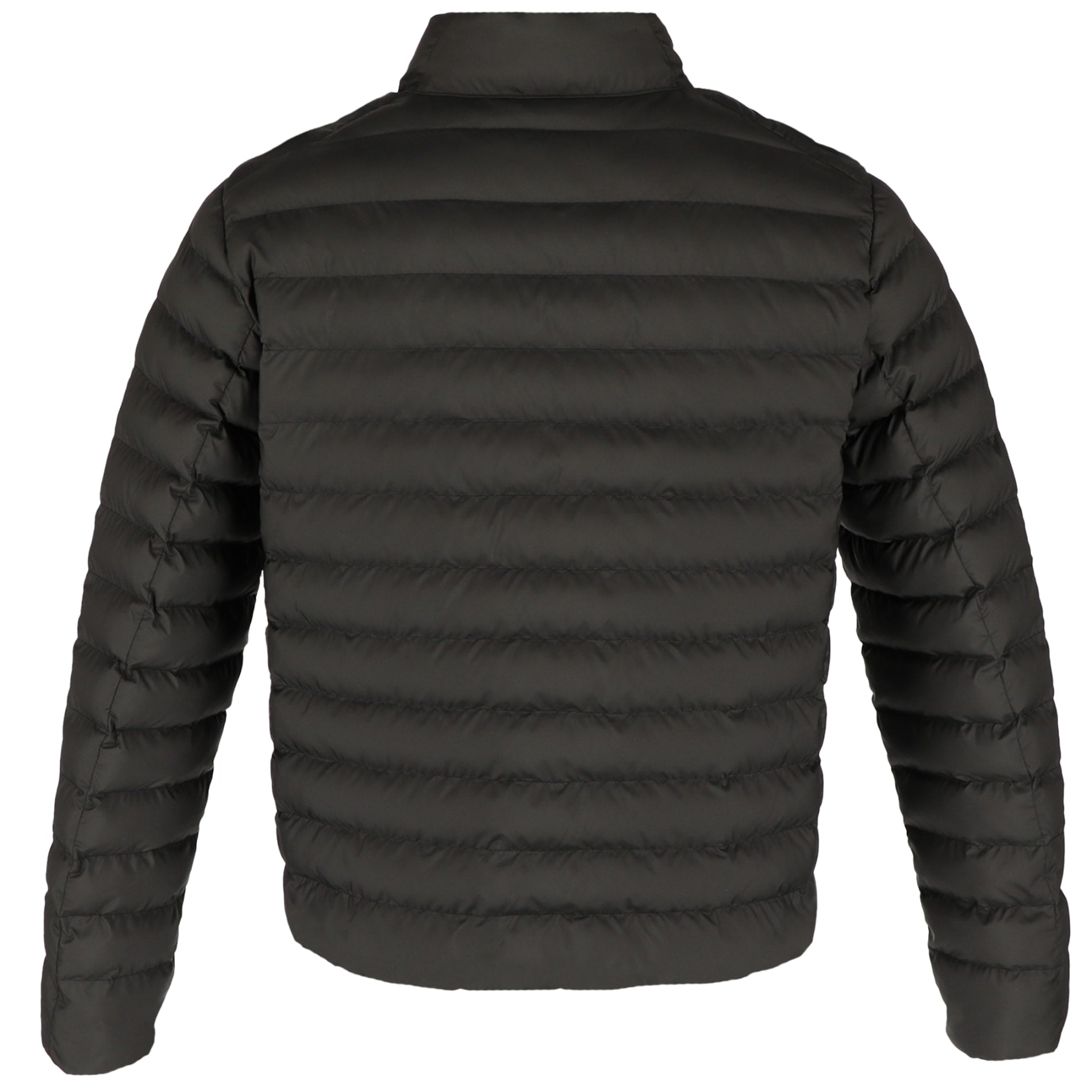 Image for TM19900_896_B_BACK.jpg