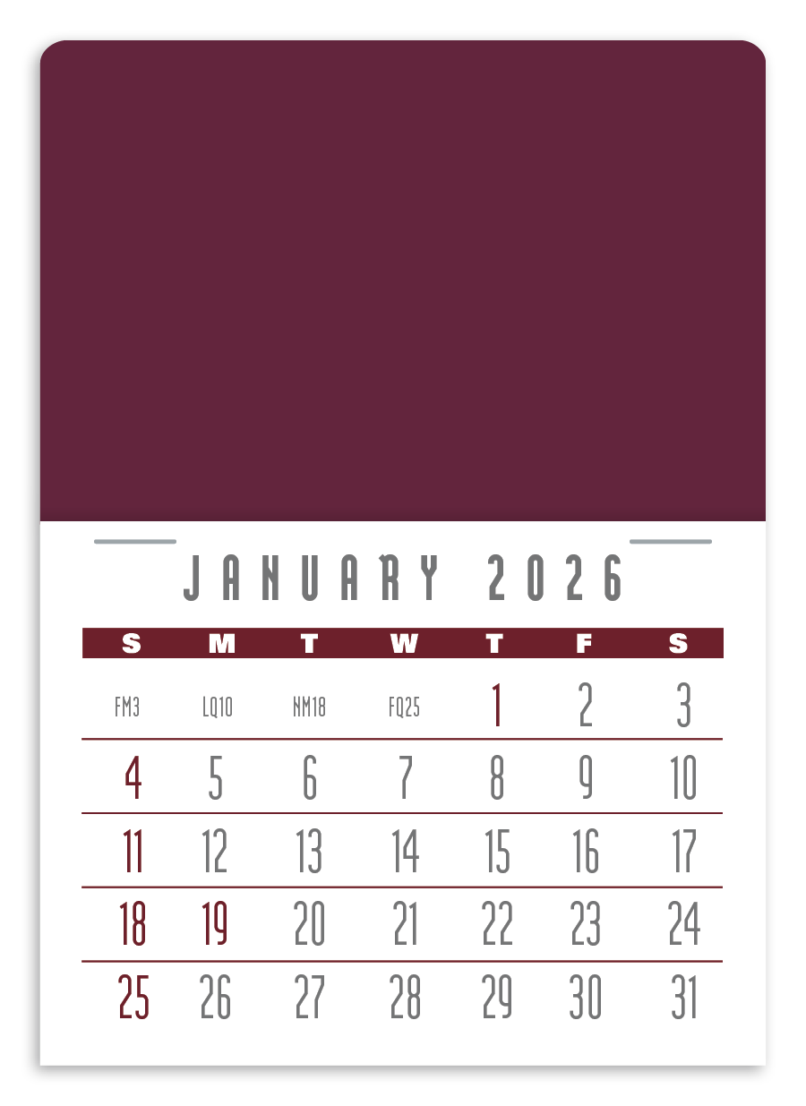 Triumph Calendars PressNStick Contemporary Calendar-V7898