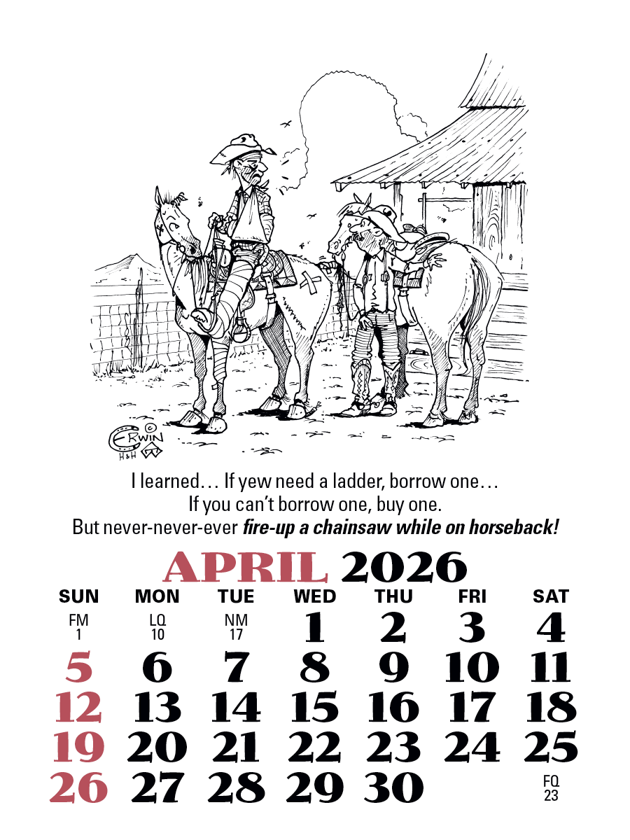 Triumph Calendars PressNStick Cowboy Calendar-V8879