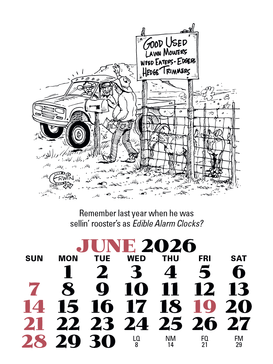 Triumph Calendars PressNStick Cowboy Calendar-V8879