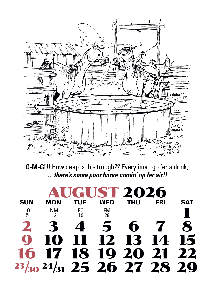 Triumph Calendars PressNStick Cowboy Calendar-V8879