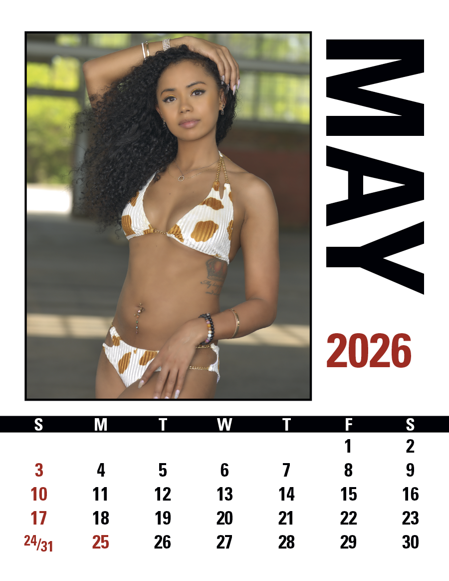 Triumph Calendars PressNStick Sunshine Girls Calendar-V8890