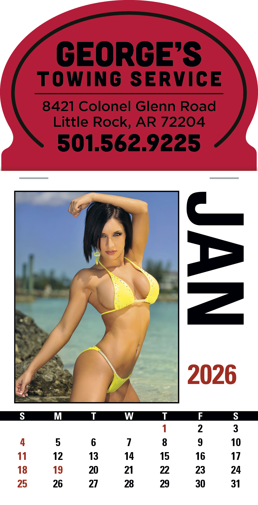 Triumph Calendars PressNStick Sunshine Girls Calendar-V8890