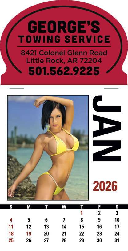 Triumph Calendars PressNStick Sunshine Girls Calendar-V8890