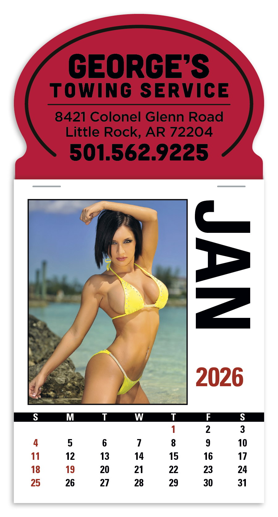 Triumph Calendars PressNStick Sunshine Girls Calendar-V8890