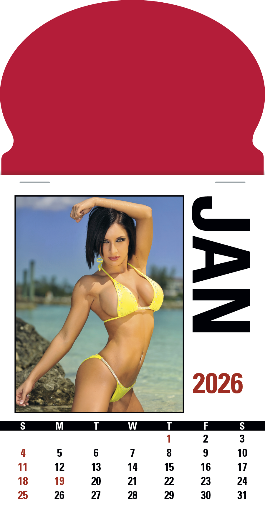Triumph Calendars PressNStick Sunshine Girls Calendar-V8890