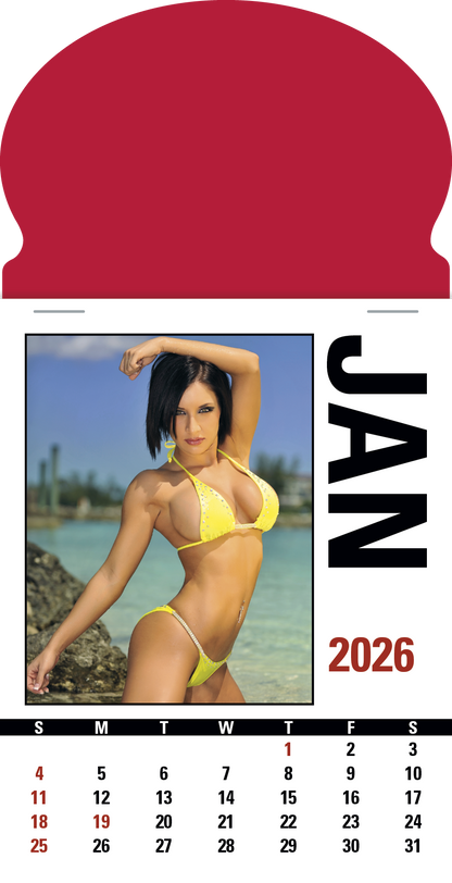 Triumph Calendars PressNStick Sunshine Girls Calendar-V8890