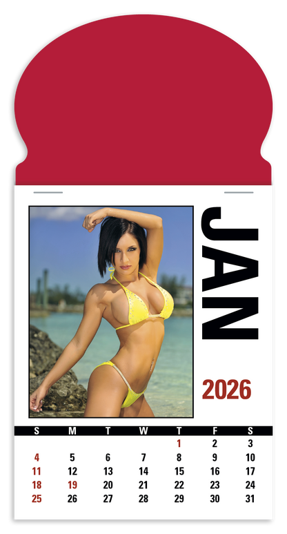 Triumph Calendars PressNStick Sunshine Girls Calendar-V8890