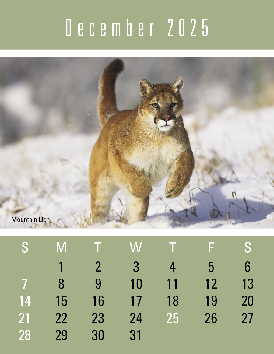 Triumph Calendars PressNStick Sportsmen Calendar-V8896