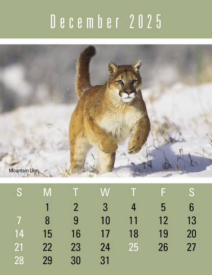 Triumph Calendars PressNStick Sportsmen Calendar-V8896