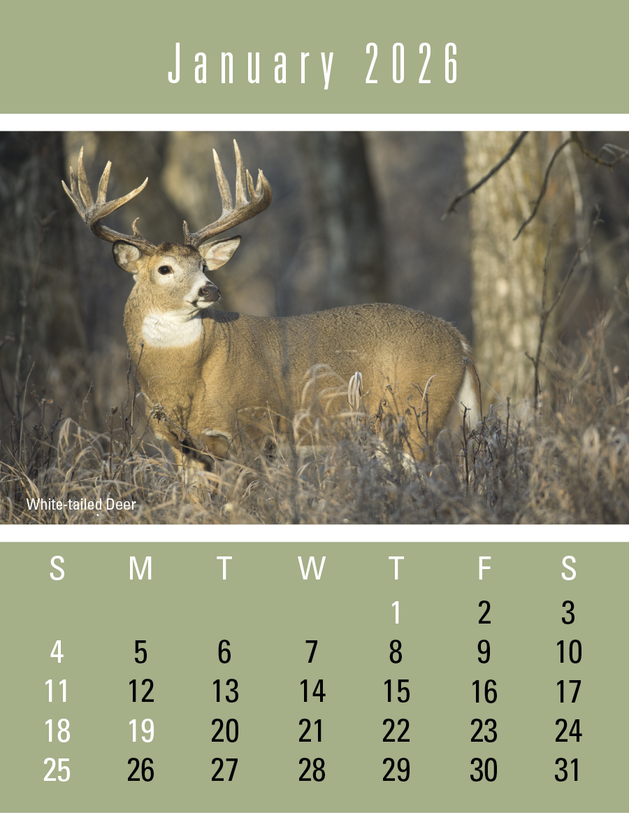 Triumph Calendars PressNStick Sportsmen Calendar-V8896