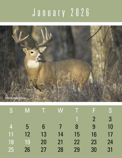 Triumph Calendars PressNStick Sportsmen Calendar-V8896