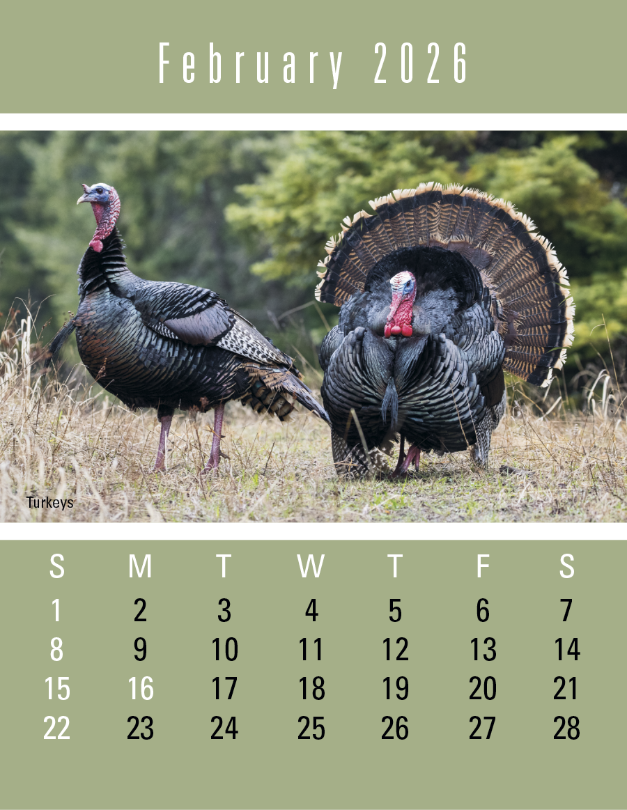 Triumph Calendars PressNStick Sportsmen Calendar-V8896