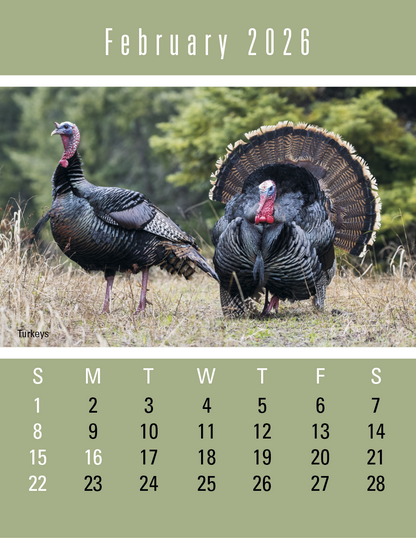 Triumph Calendars PressNStick Sportsmen Calendar-V8896
