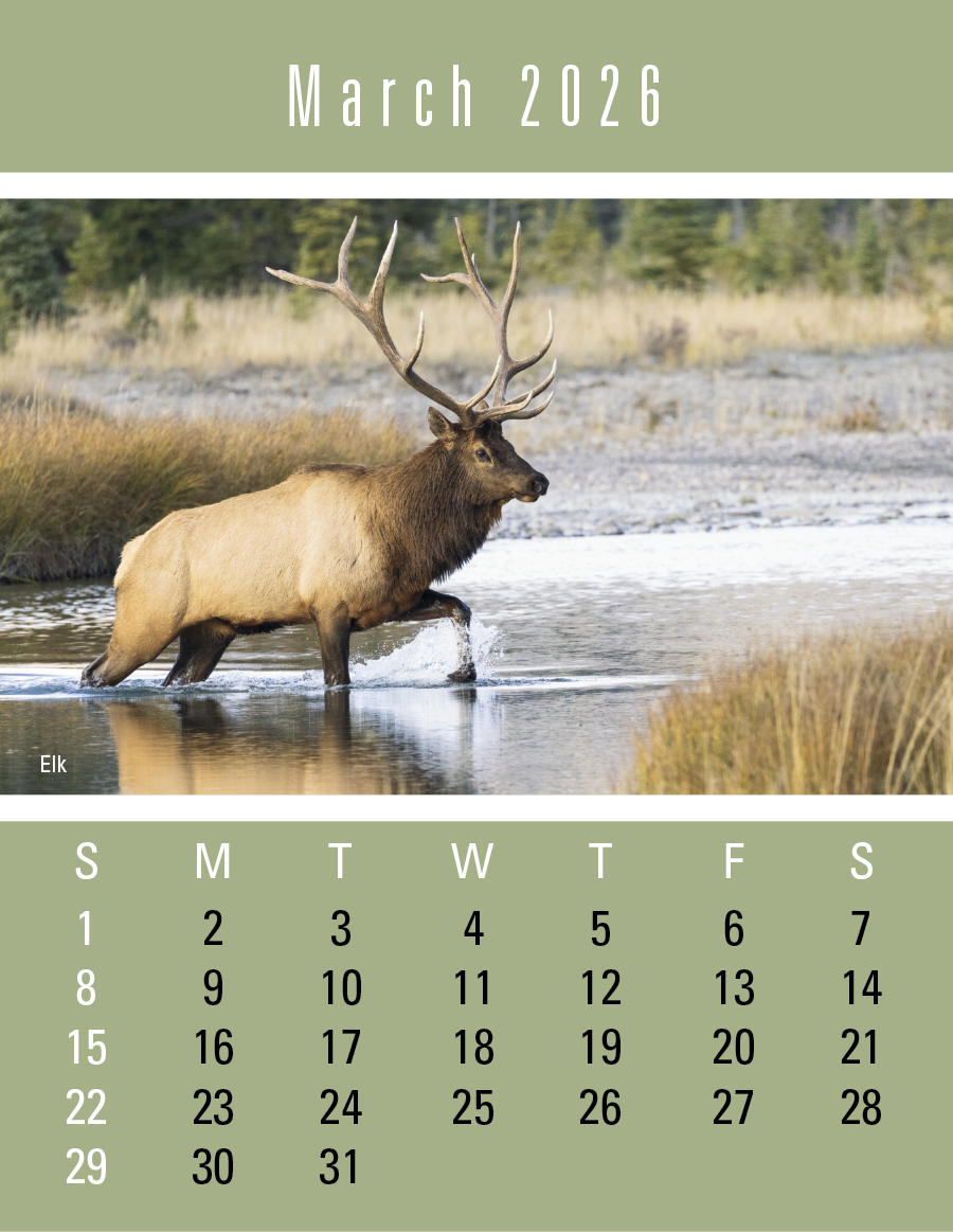 Triumph Calendars PressNStick Sportsmen Calendar-V8896