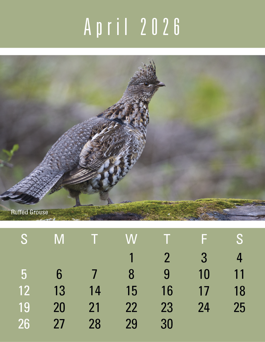 Triumph Calendars PressNStick Sportsmen Calendar-V8896