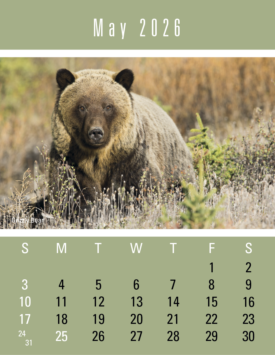 Triumph Calendars PressNStick Sportsmen Calendar-V8896