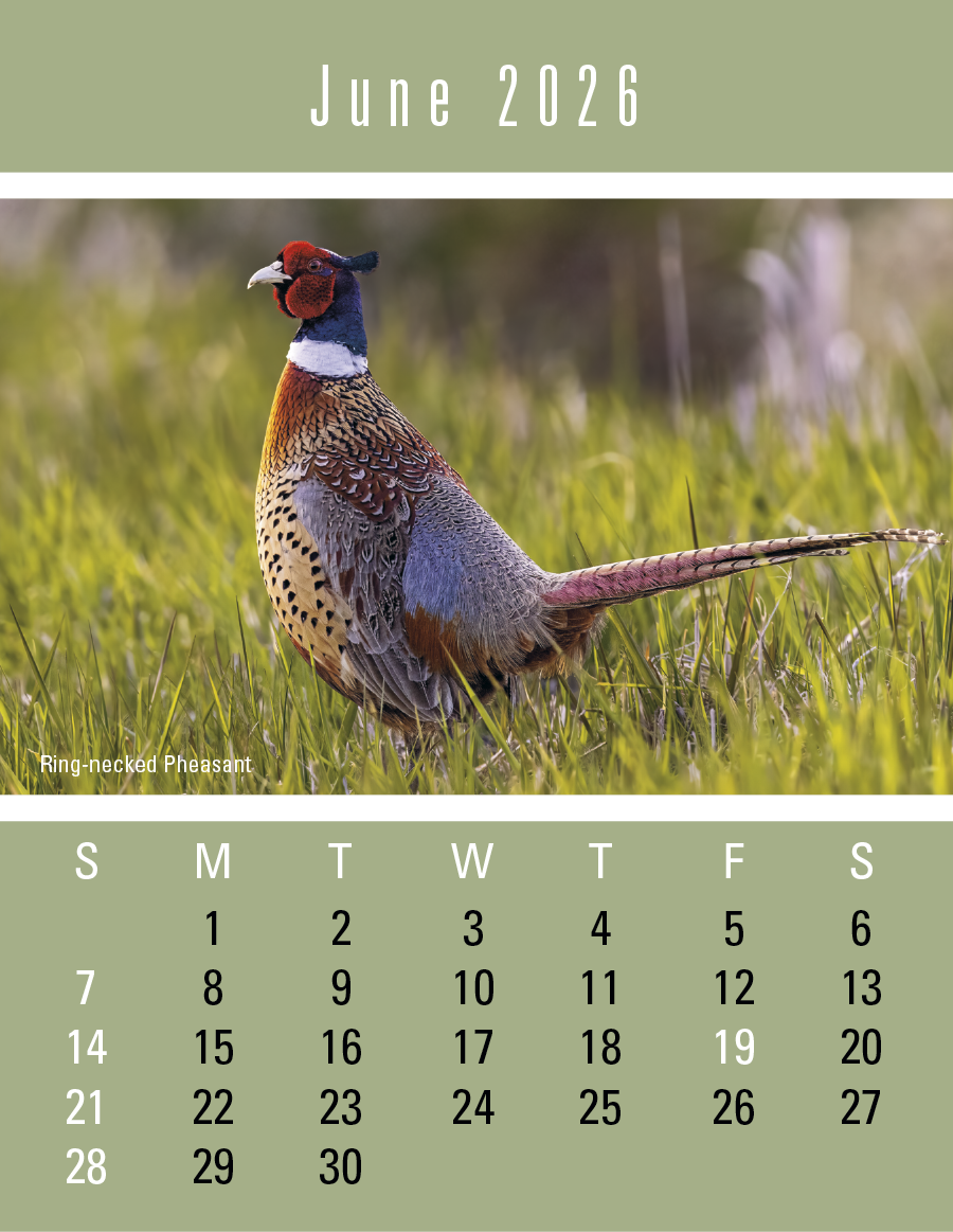 Triumph Calendars PressNStick Sportsmen Calendar-V8896