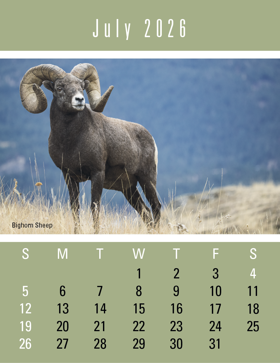 Triumph Calendars PressNStick Sportsmen Calendar-V8896