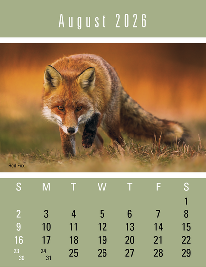 Triumph Calendars PressNStick Sportsmen Calendar-V8896