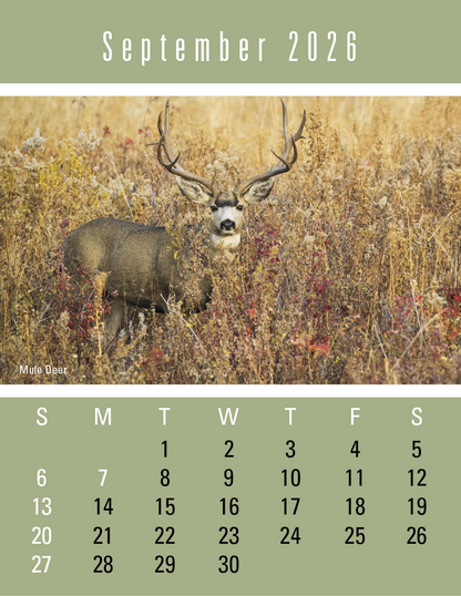 Triumph Calendars PressNStick Sportsmen Calendar-V8896