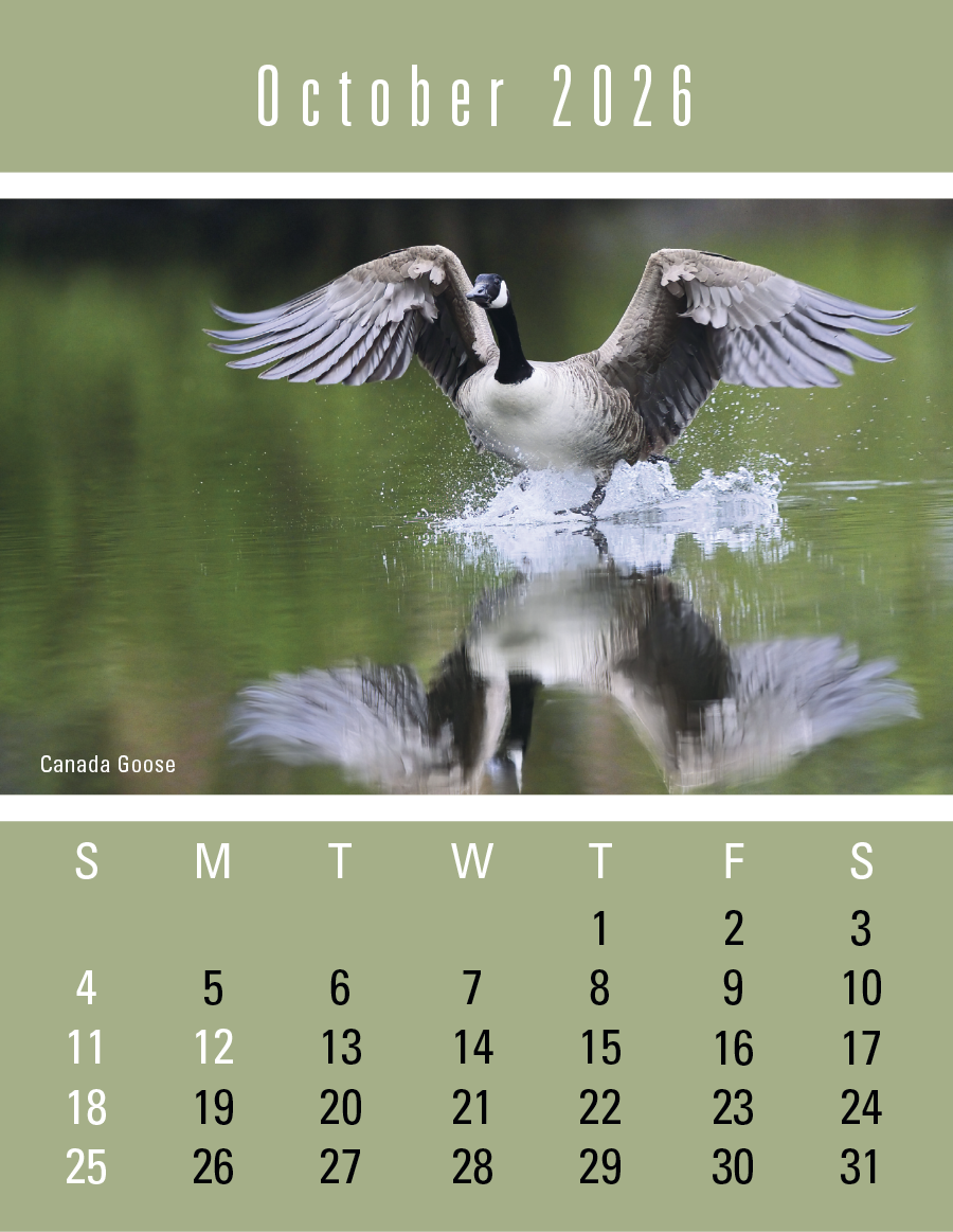 Triumph Calendars PressNStick Sportsmen Calendar-V8896