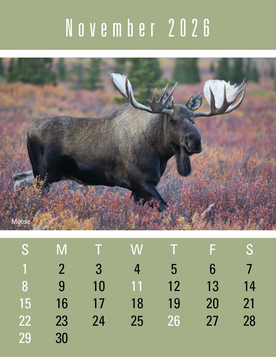Triumph Calendars PressNStick Sportsmen Calendar-V8896