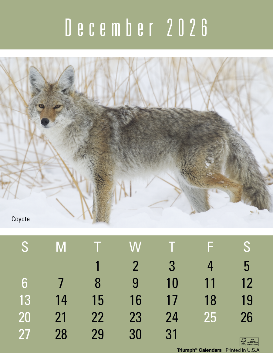 Triumph Calendars PressNStick Sportsmen Calendar-V8896